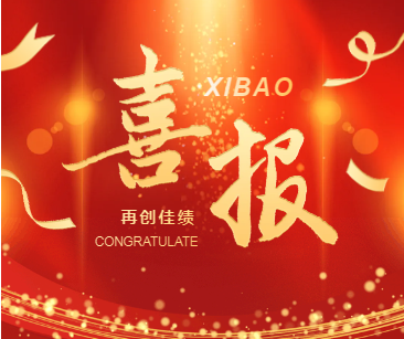 中新咨詢喜訊頻傳！