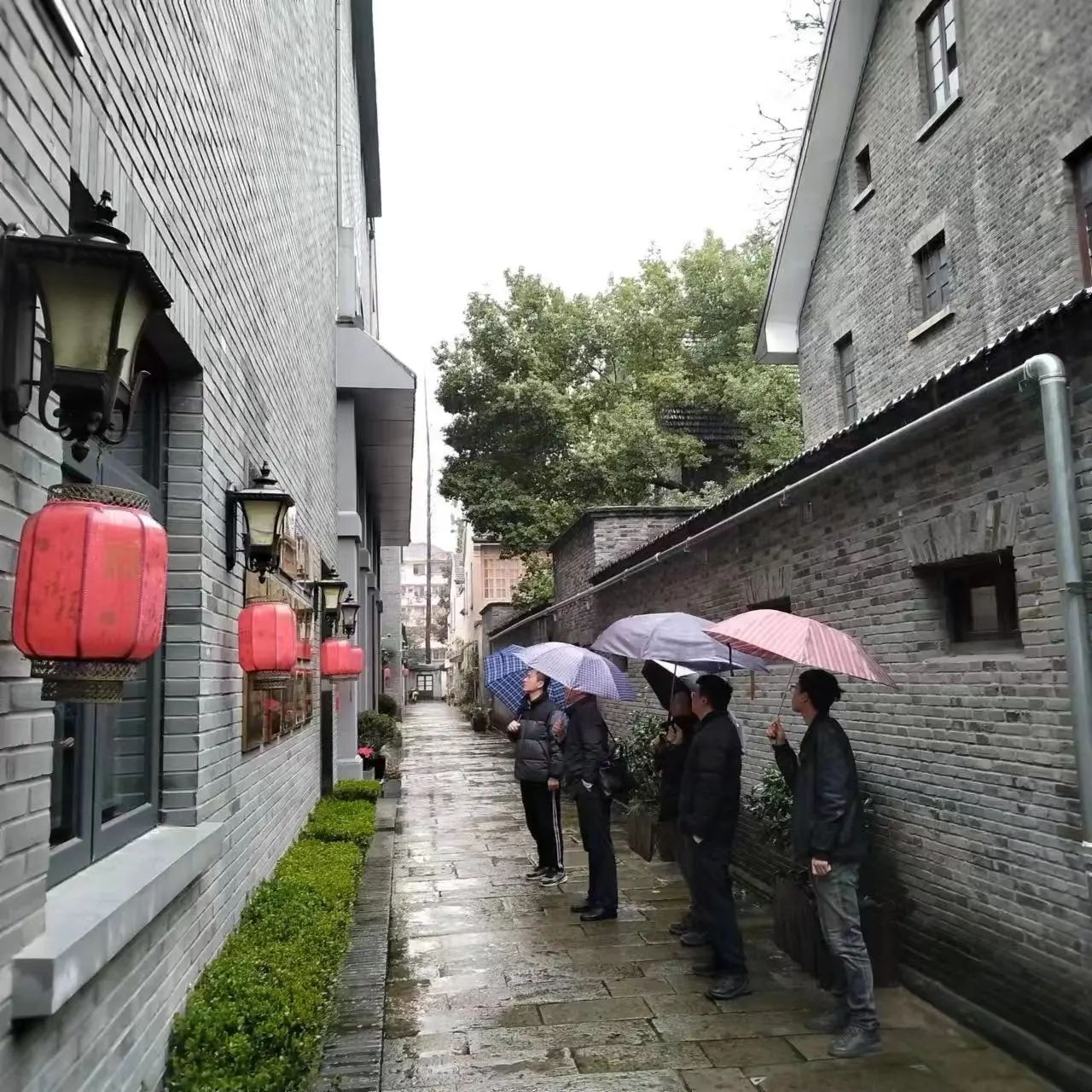 微信圖片_8.jpg